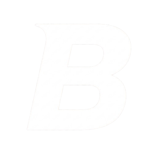 BV Logo